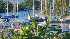 Una marina con diverse imbarcazioni ormeggiate, circondata da una vegetazione rigogliosa e montagne sullo sfondo.