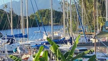 A marina with multiple boats docked, surrounded by lush greenery and mountains in the background.