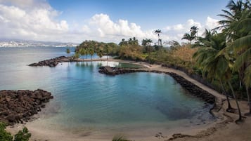 A clear view of a beach with a pool, surrounded by palm trees and a rocky shoreline.