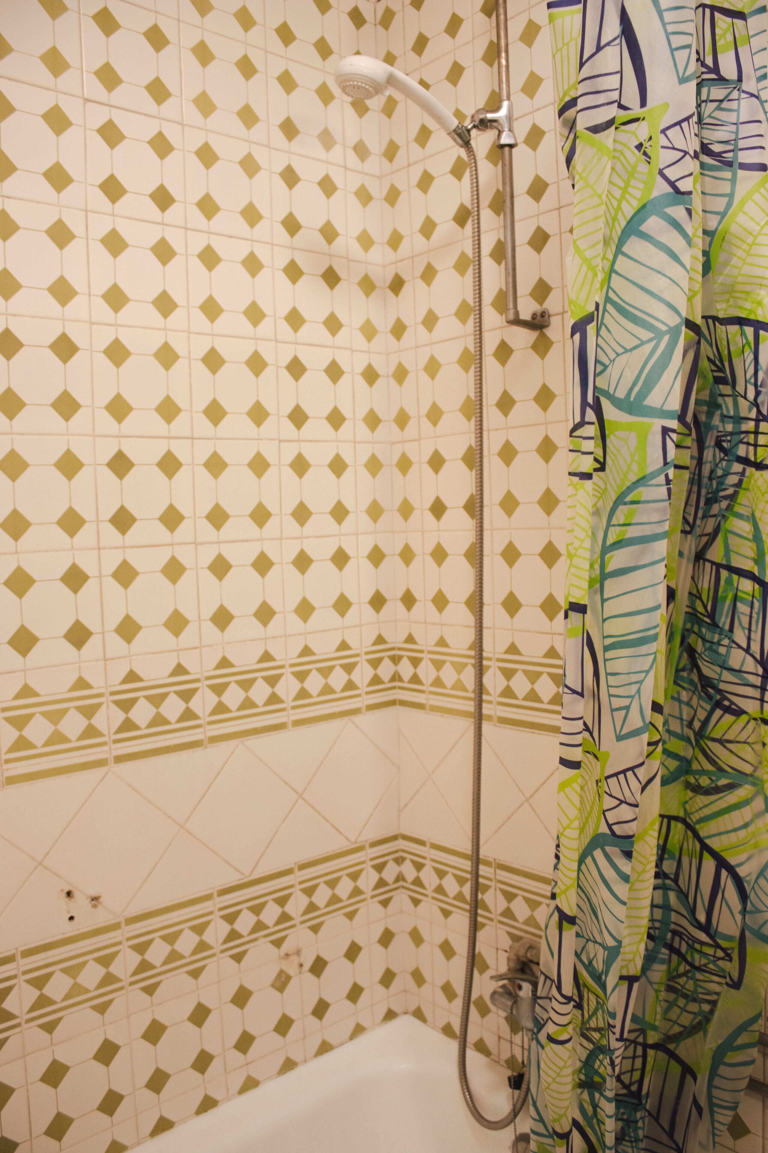 Un bagno con piastrelle decorate, una doccia e una tenda con motivo a foglia.