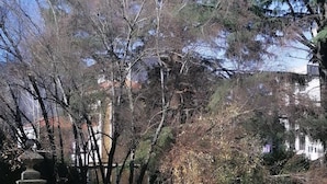 未分類圖片，第 2 張 (共 37 張)，按鈕