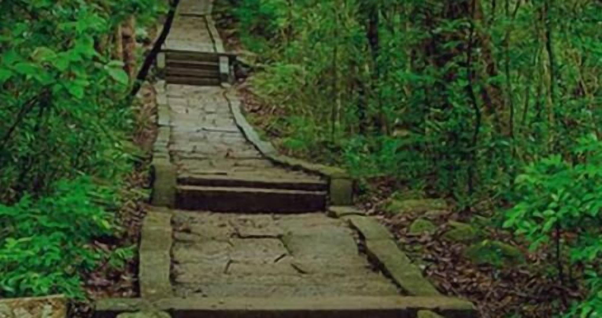Un sendero de piedra que serpentea por un bosque.