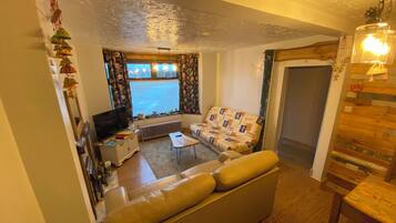 TV connectée, cheminée, lecteur de DVD