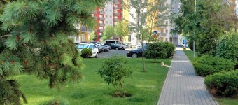 Apartment Altipiani Panoramic White