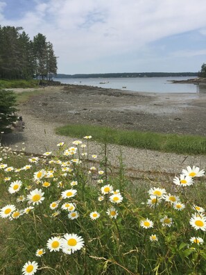 På stranden och strandhanddukar