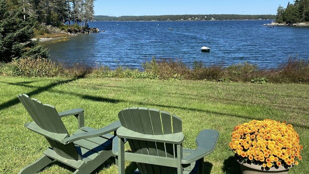 Vista de un lago con dos sillas Adirondack verdes y una maceta con flores amarillas.