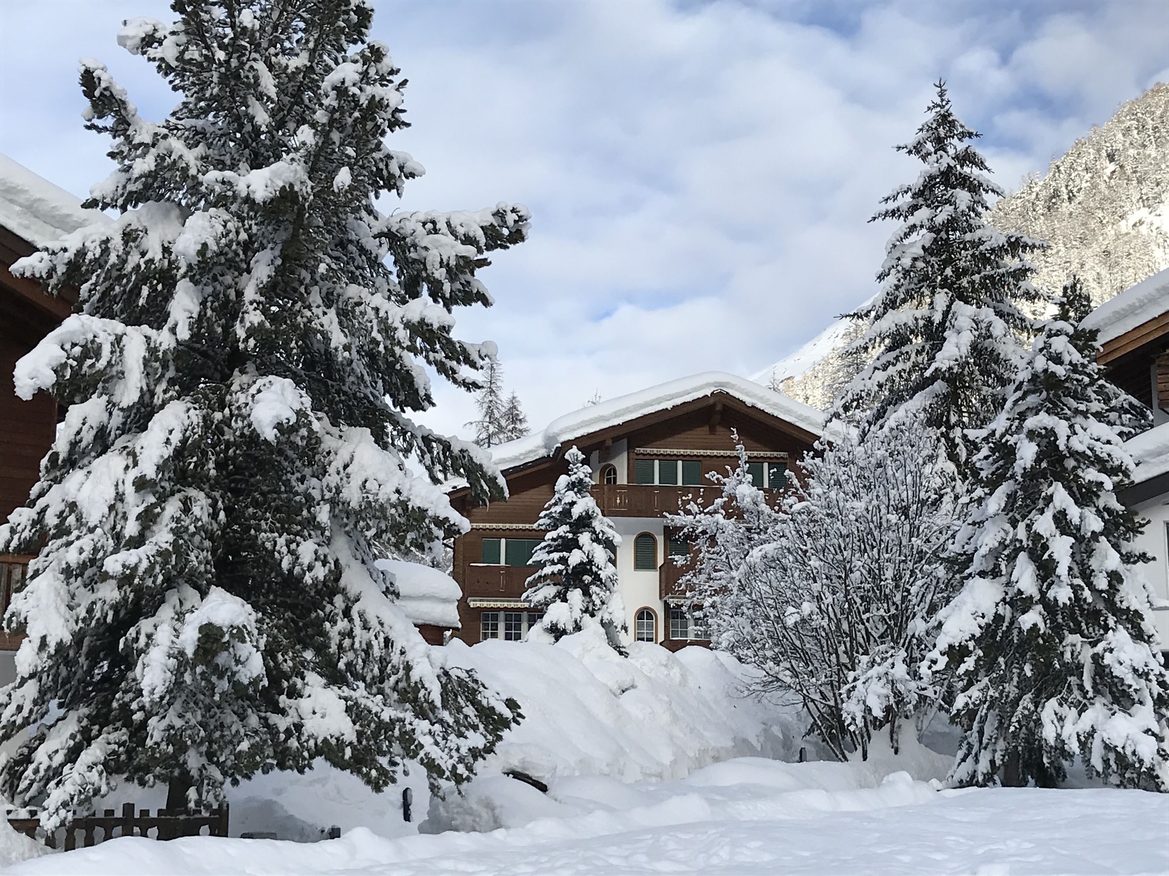 Un rifugio coperto di neve con facciata in legno, circondato da alberi carichi di neve e uno sfondo montuoso.