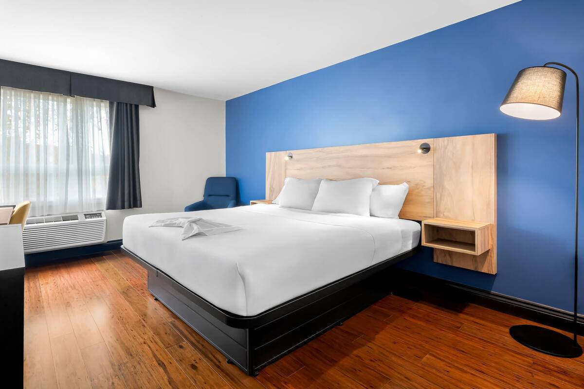 Standard Room, 1 King Bed, Non Smoking | Premium bedding, down comforters, blackout drapes, iron/ironing board