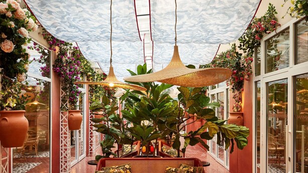 Un espace patio intérieur avec une table et des chaises, entouré de plantes en pot et de lampes suspendues.