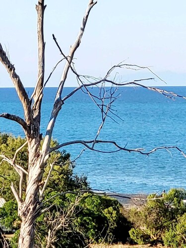 La plage absolue