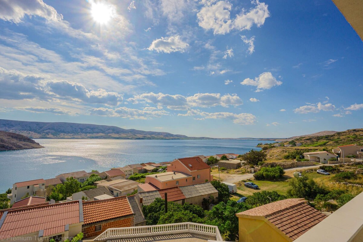 Imagen de perfil del propietario o de la propietaria