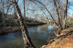 A river with trees and a clear sky.