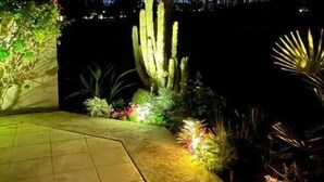 Un giardino illuminato artificialmente di notte, con cactus e piante.