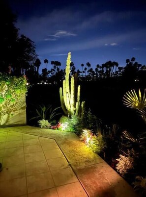 Stroll through the serene garden, surrounded by lush cacti and vibrant flowering plants, along a beautifully tiled walkway.