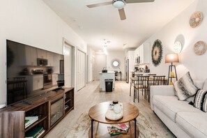 TV, fireplace, video games, DVD player