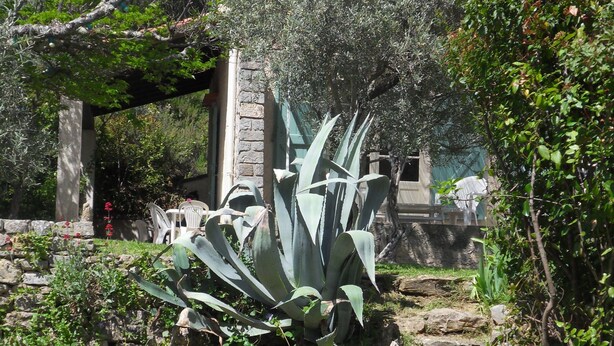 Un jardin avec un chemin de pierre menant à un bâtiment à la façade blanche et au toit rouge.