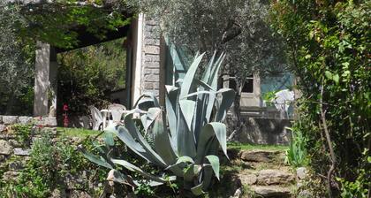 BARJOLS VAR - PROMO FIN DE SAISON - Villa Ă©quipĂ©e 2 Ă 8 pers / 2000 mÂČ jardin