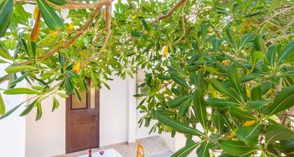 Apartment with free WiFi and free parking