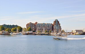 Panoramic views of downtown Victoria's harbor skyline across the water from your neighborhood path.