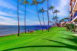 Property grounds - Oceanfront condo with lanai, pool, grill, beach gear, smart TV, W/D, partial AC (Wailuku)