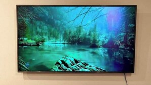 Un téléviseur diffusant une scène de forêt avec un plan d’eau.