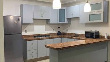 Fridge, microwave, stovetop, dishwasher