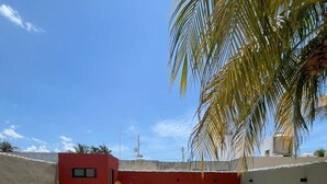 A pool area with a red wall, white lounge chairs, and a palm tree.