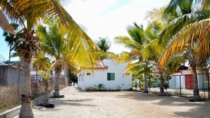 A sandy pathway leading to a white building with a red roof, surrounded by palm trees. - Altata, casa Las Aguilas (Altata)