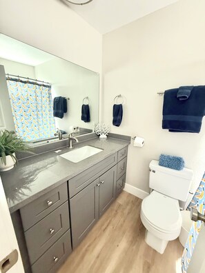 Shower, towels, toilet paper