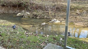 A natural outdoor area with a small stream, surrounded by trees and grass. - Cozy quiet romantic cabin for 2, Fully equipped modern kitchen. Pleasant patio. (Sevierville)