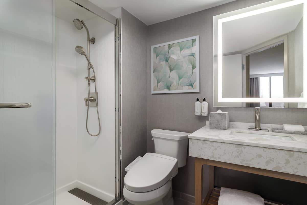 Rainfall showerhead, hair dryer, bidet, towels