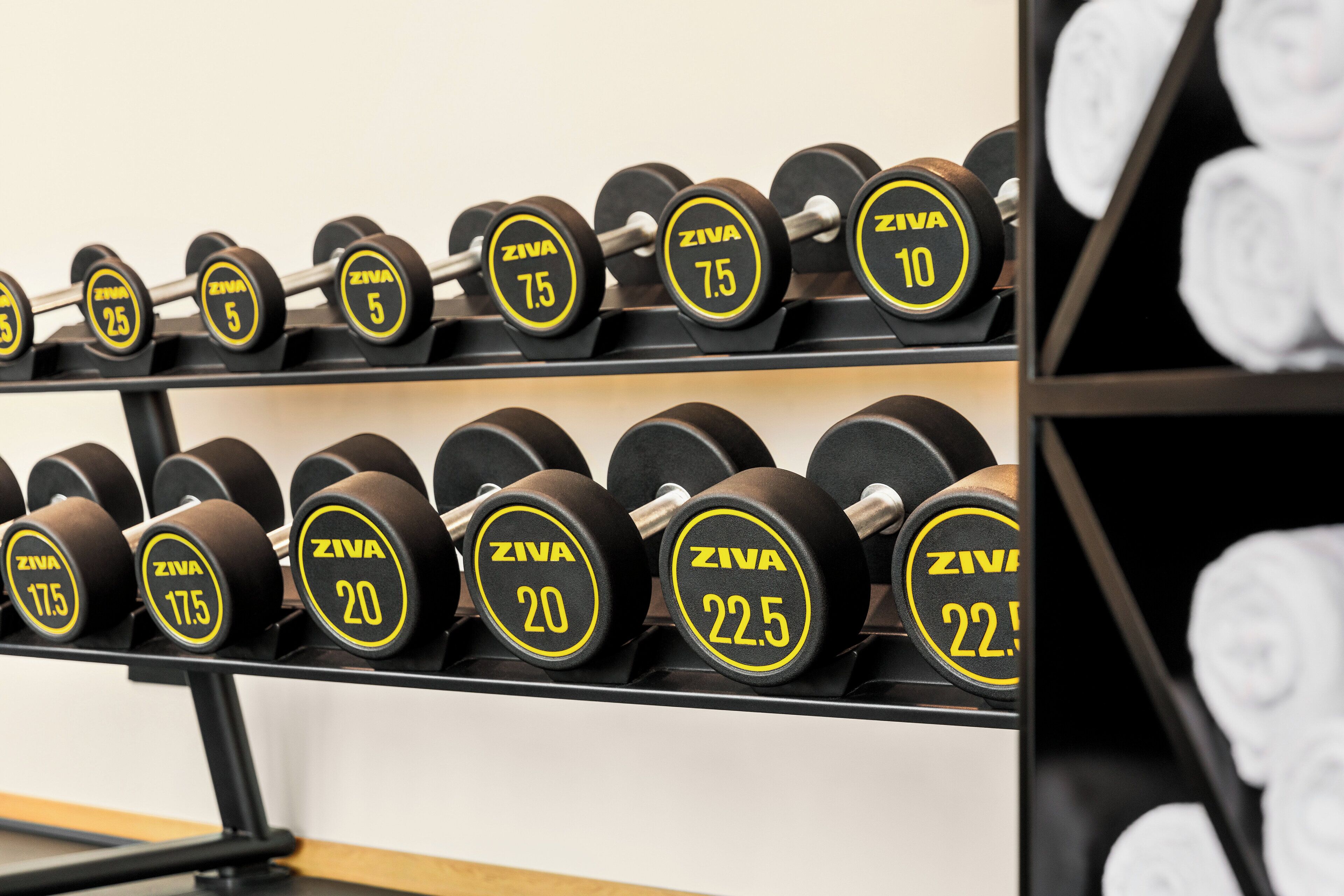 A rack of ZIVA weightlifting dumbbells with various weights.