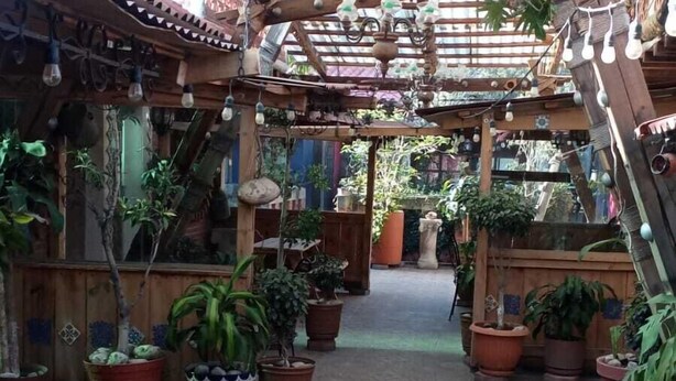 An indoor garden with a patterned floor, wooden beams, and various potted plants. - HOSTAL EL REFUGIO (Puebla)