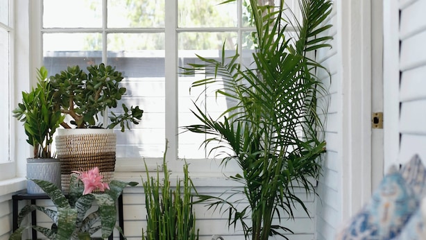 A sunlit porch with potted plants and a white couch. - Aliza Hotel (Venice)