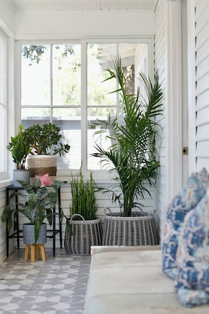 家庭平房 | 露台