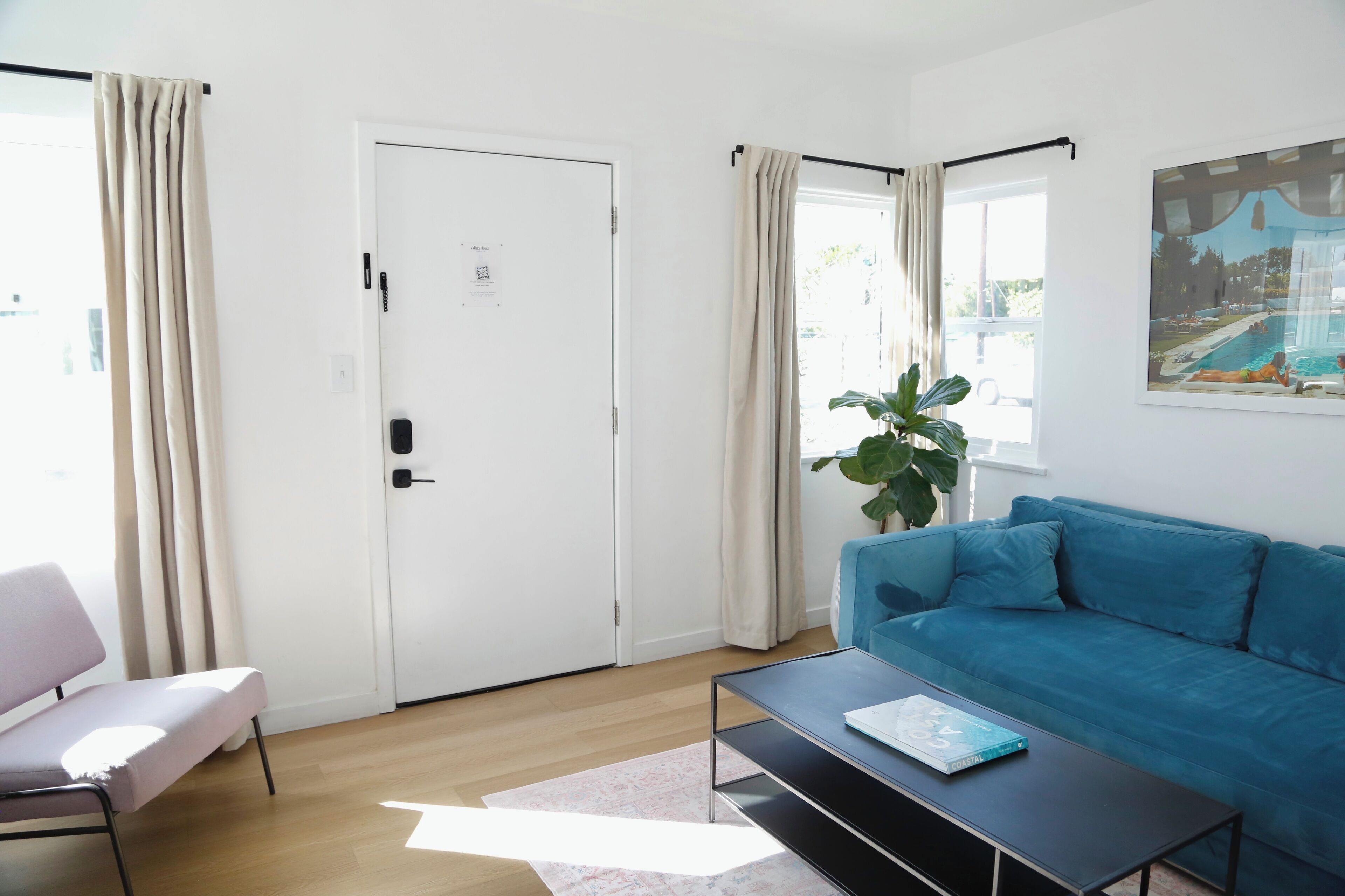 Ein modernes Wohnzimmer mit einem blauen Sofa, einer weißen Tür, einem Fenster mit Vorhängen und einer großen Pflanze.