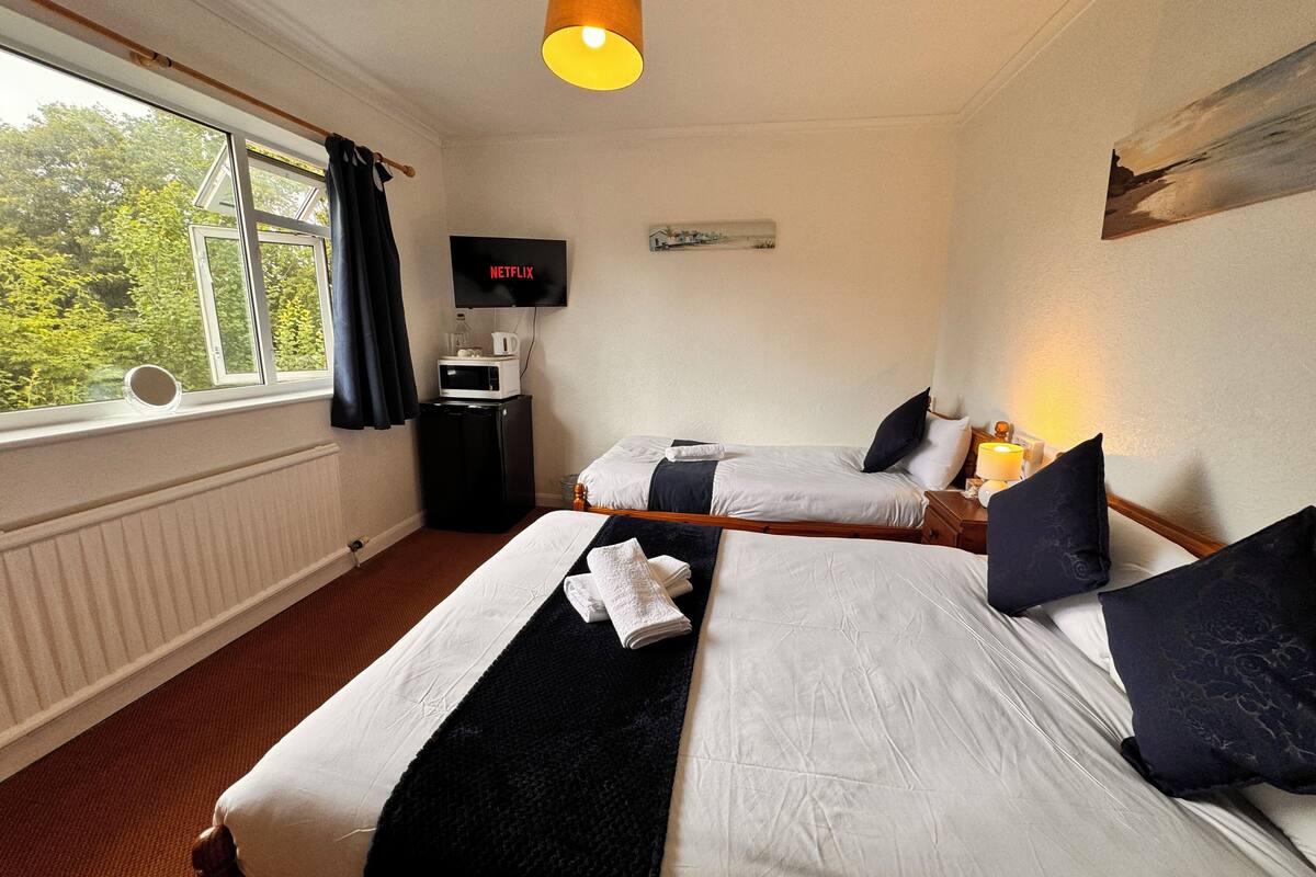 A hotel room with two beds, a TV, a small fridge, and a window with curtains.