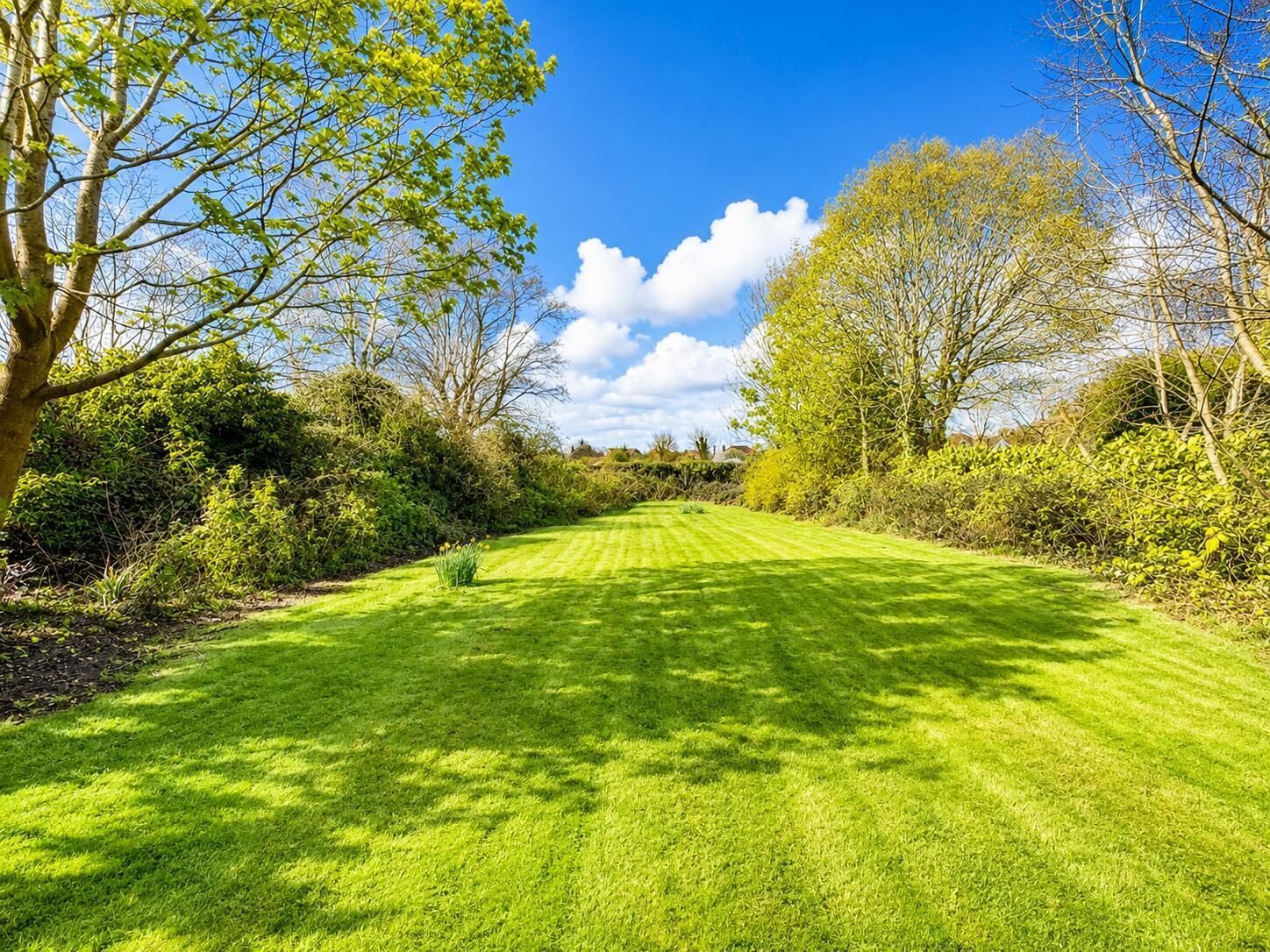 A well-maintained lawn with a variety of trees and shrubs, providing a natural and serene environment.