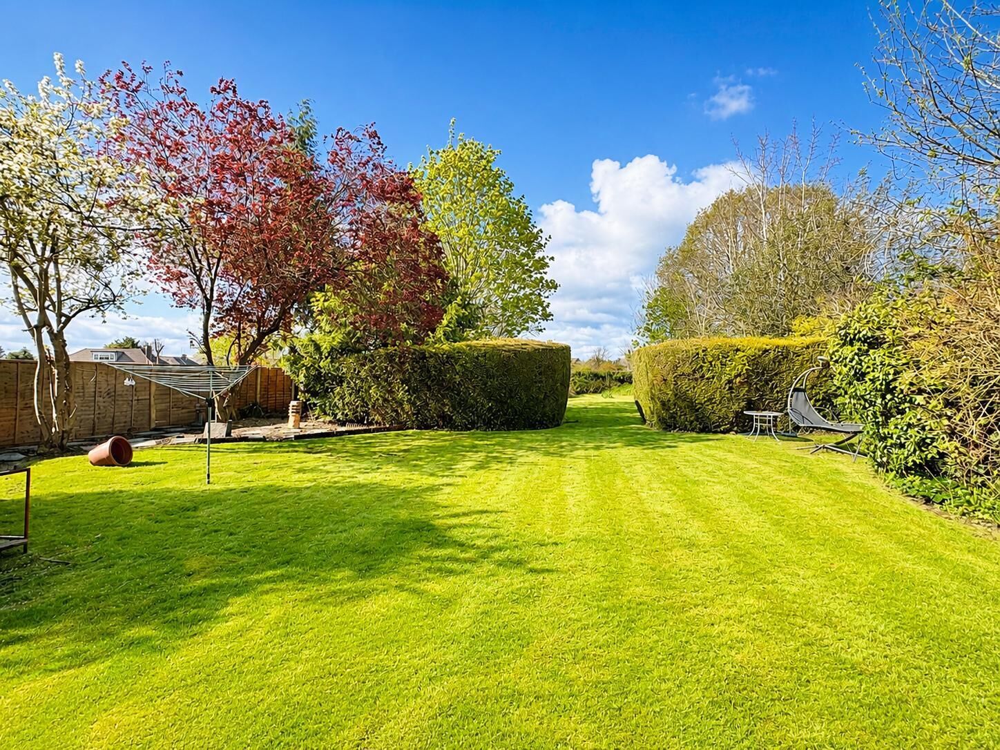 A well-maintained lawn with a clear sky, a wooden fence, and a hedge.