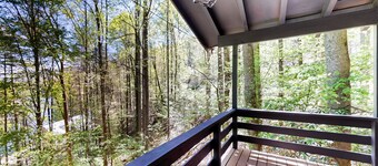 Mountainside escape with Nantahala Lake views & serene deck - dog-friendly
