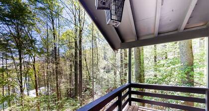 Mountainside escape with Nantahala Lake views & serene deck - dog-friendly