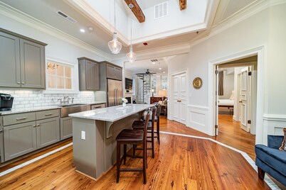 Luxury Historic 2BR/2BA Loft on North Main St Gvl