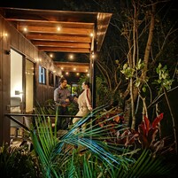 A modern outdoor seating area with wooden beams and string lights, surrounded by lush greenery and plants.