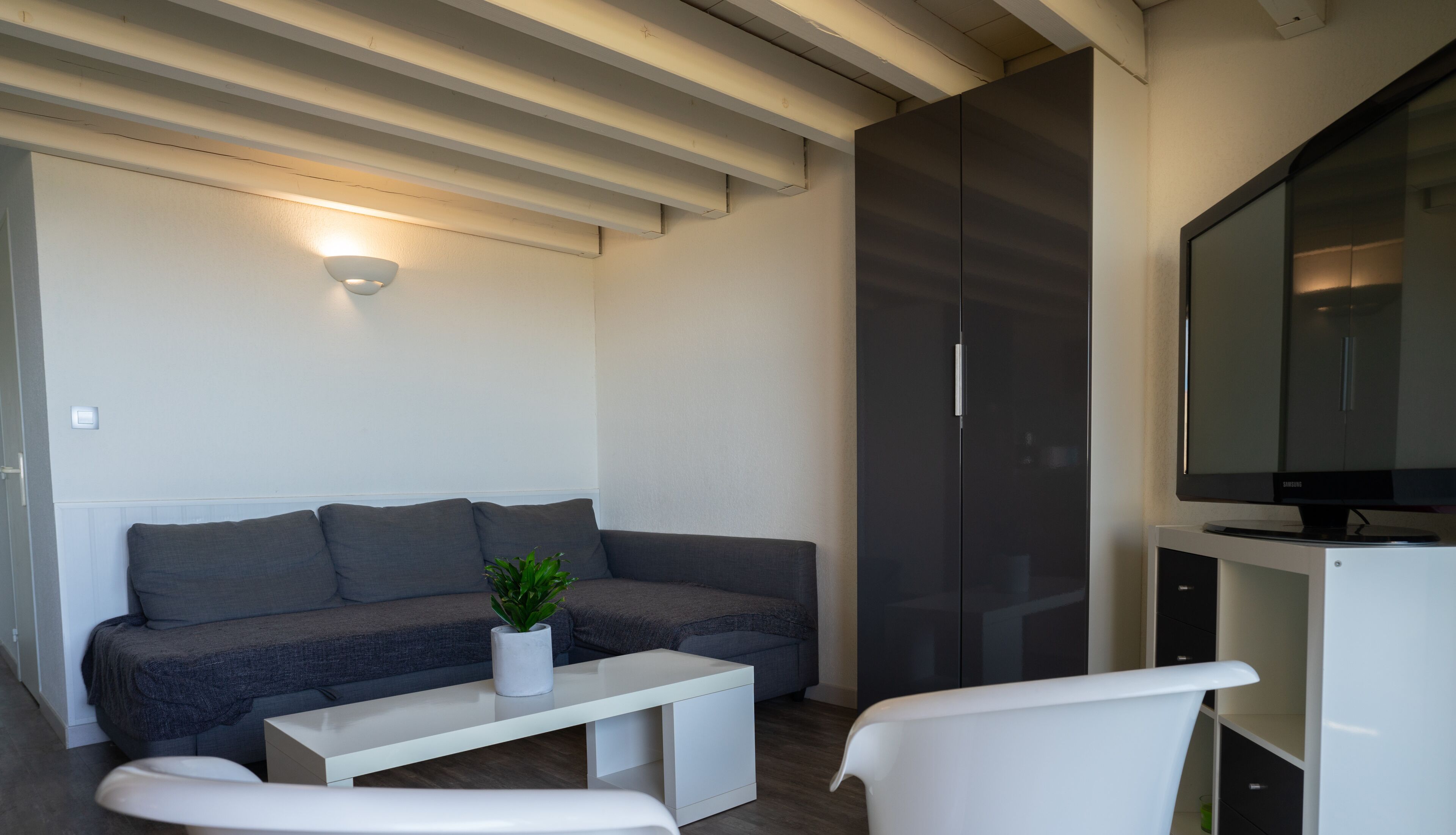 A modern living room with a grey sofa, a white coffee table, a potted plant, a flat-screen TV, and a wardrobe.