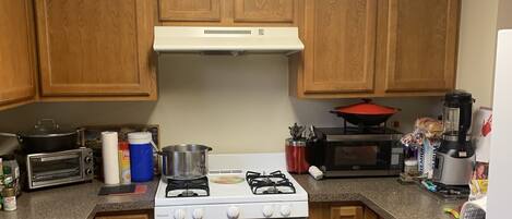 Microondas, horno, placa de cocina y lavavajillas