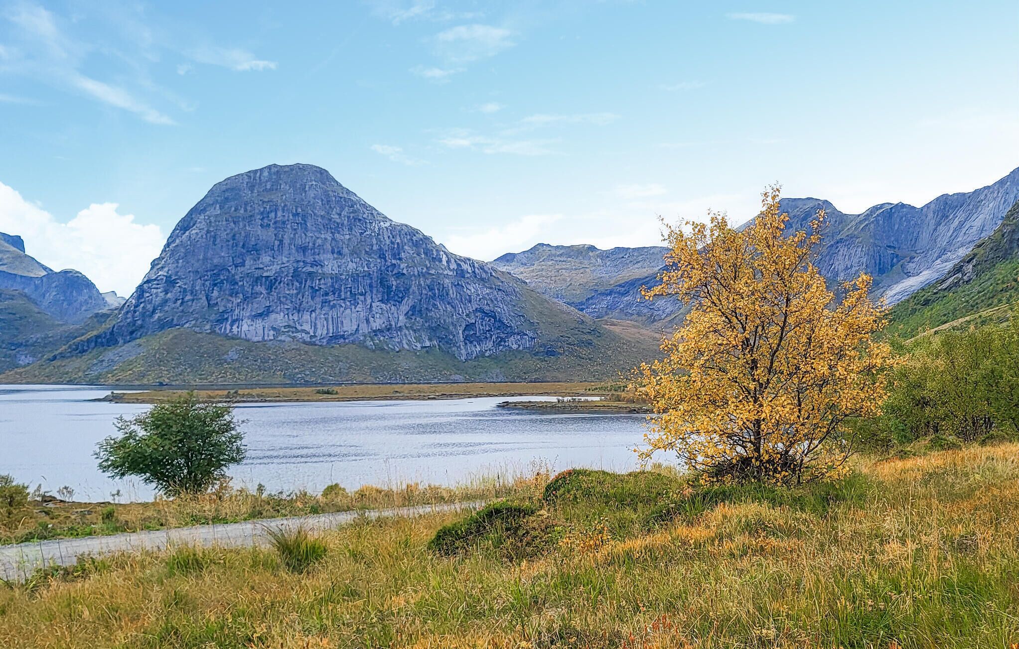 A mountainous landscape with a lake, a road, and a tree with yellow leaves.