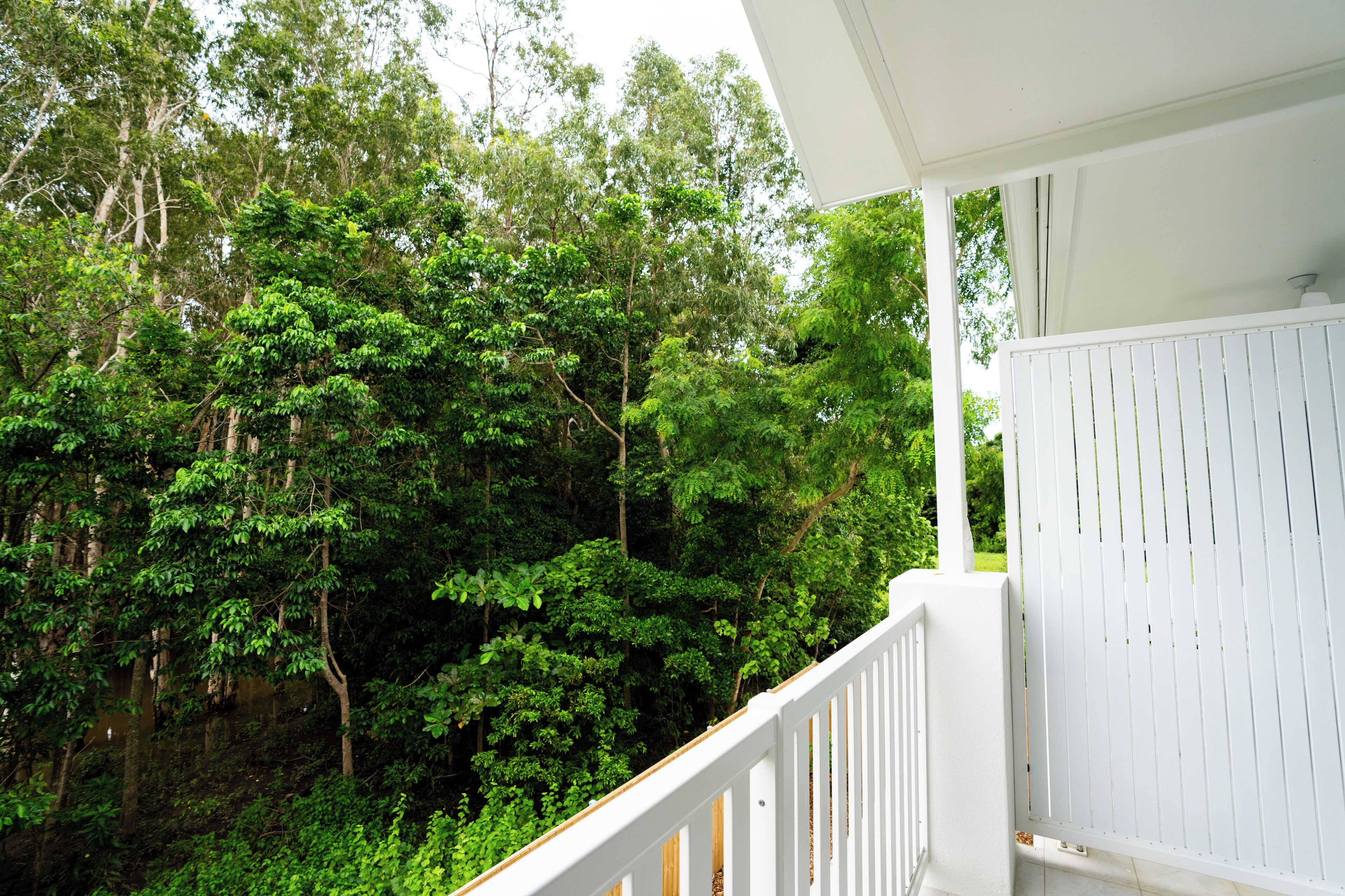 A balcony with a white railing overlooking a dense forest.