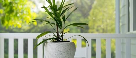 A potted plant on a white table with a white railing in the background.