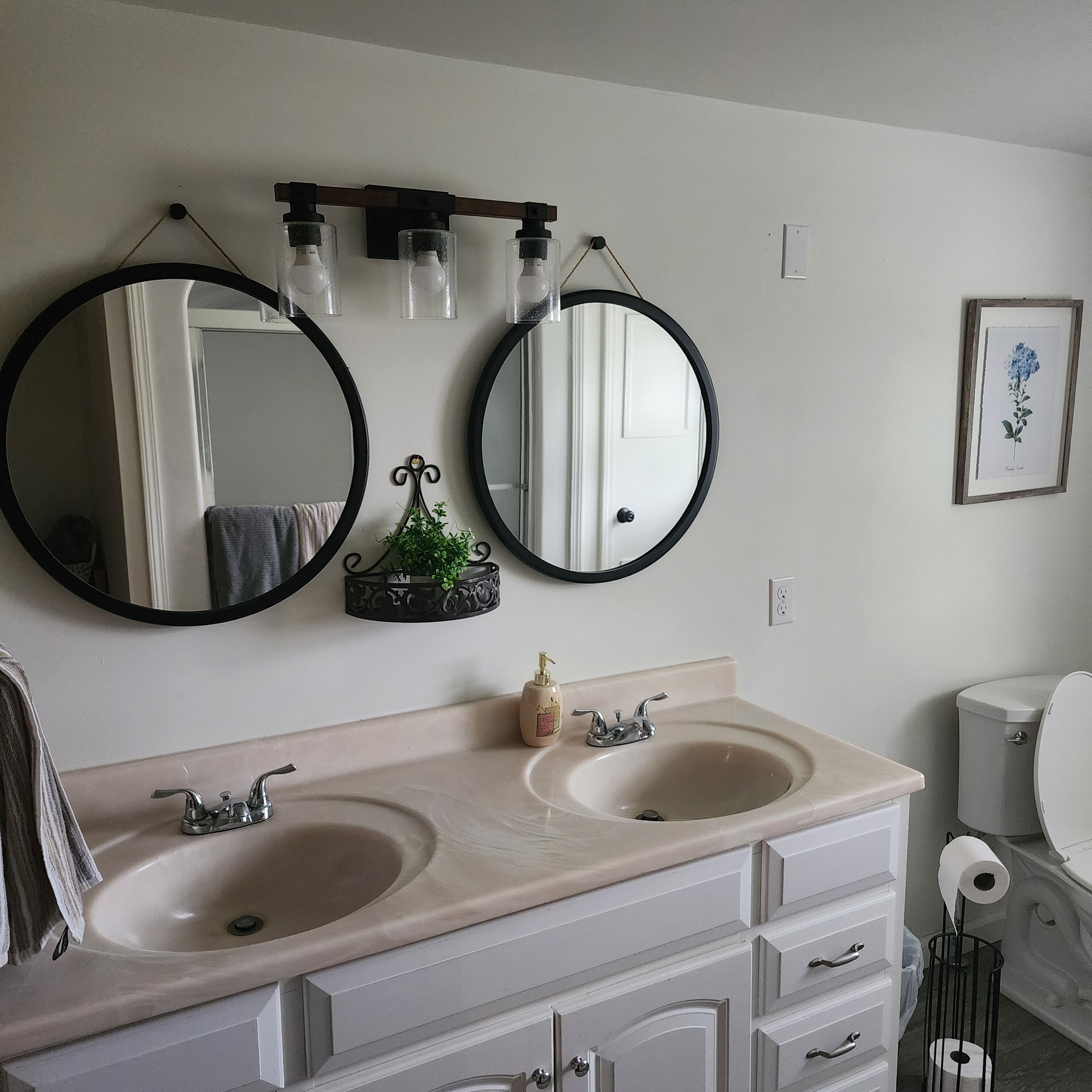 A bathroom with two sinks, a mirror, a potted plant, and a toilet.