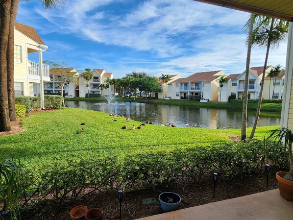 A residential area with a pond, houses, and a well-maintained lawn.
